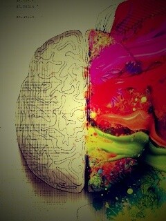 Различия левого и правого полушария обои