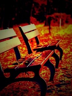 Лавочки в осеннем парке обои