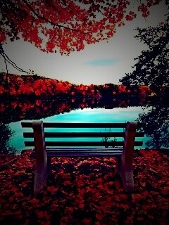 Вид на осеннее озеро обои