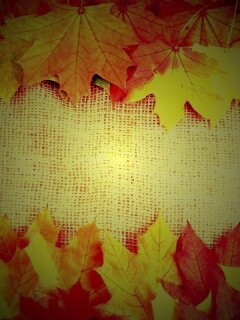 Желтые кленовые листья на холсте обои