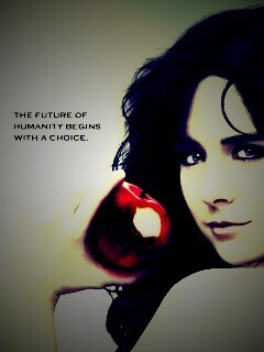 Каприка обои