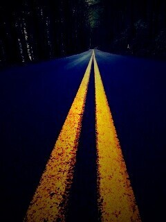 Дорога в лесу обои