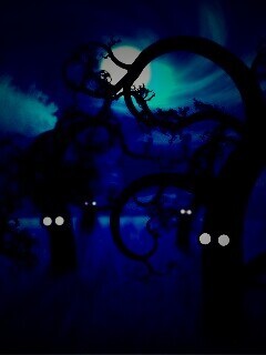 Страшно ночью в лесу обои