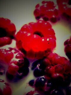 Малина в молоке обои