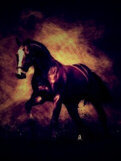 Лошадь обои