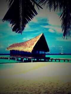 Бунгало обои