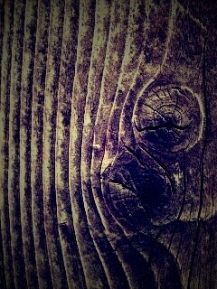 Сучковатое дерево обои