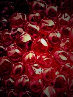 Красная икра обои