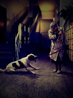 Непослушная собака обои