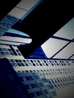 Взгляд вверх обои