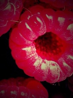 Малина обои