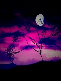 Фиолетовые небеса обои