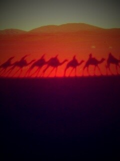 Караван обои