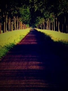 Живописная аллея обои