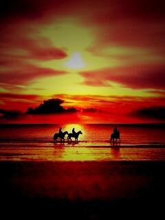 Наездники на закате обои