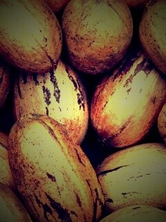 Грецкие орехи обои