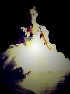 Черный лебедь обои