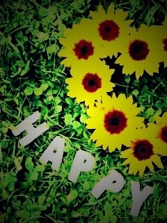 Радость обои