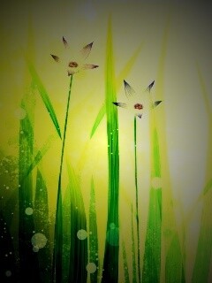 Векторные цветы обои