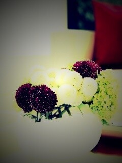 Цветы в белой вазе обои