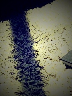 Книга на полу обои