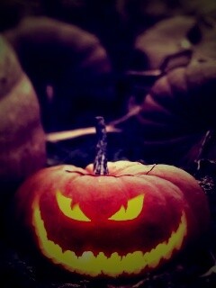 Злая тыква обои