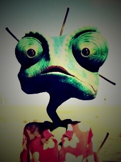 Ранго в колючках от кактуса обои