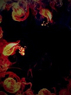 Огненные цветы обои