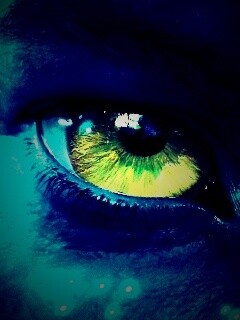 Смотрит прямо в душу обои