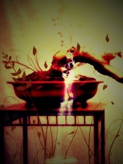 Карликовое дерево обои