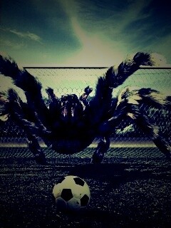 Вратарь обои