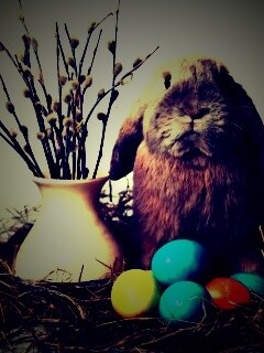 Пасхальный кролик обои