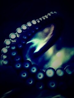 Щупальце обои