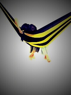 Гамак beeline обои