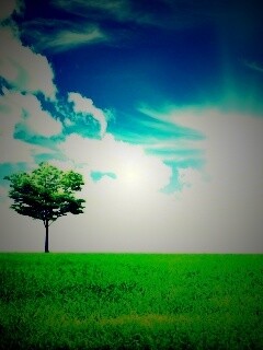 Один в целом мире обои