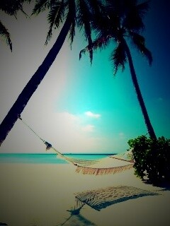 Тропический рай обои