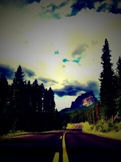 Красивая лесная дорога обои