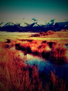 Болото и снежные горы обои