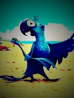 Blu из Rio обои