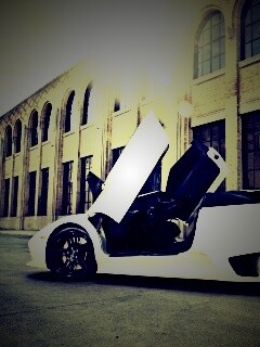 Белая Ламборгини Мурсьелаго обои