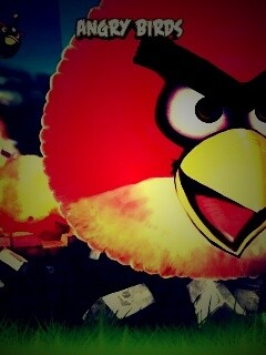 Angry Birds обои