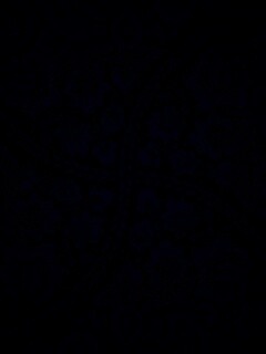 Черный цветастый узор под хохлому обои