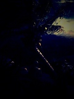 Вид на джунгли обои