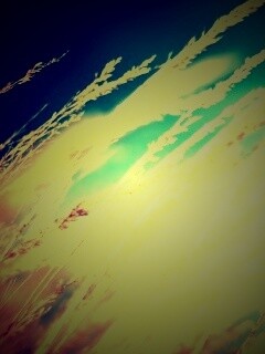 Колосья обои