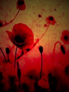 Кровавые цветы в стиле ретро обои