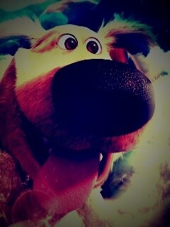 Собака из мультфильма Up обои