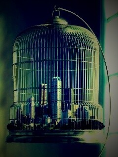 Город в клетке обои