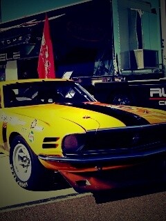 Мускул кары обои