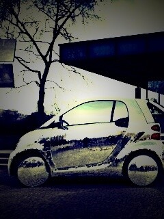 Smart Disco-Ball и 4 оленя обои