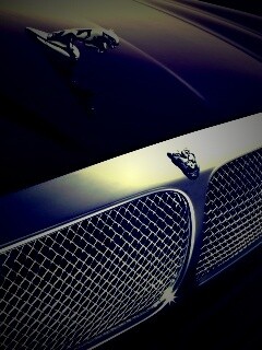 Капот и эмблема Ягуара обои